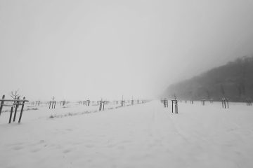 Schnee auf den Streuobstwiesen in Elbersdorf